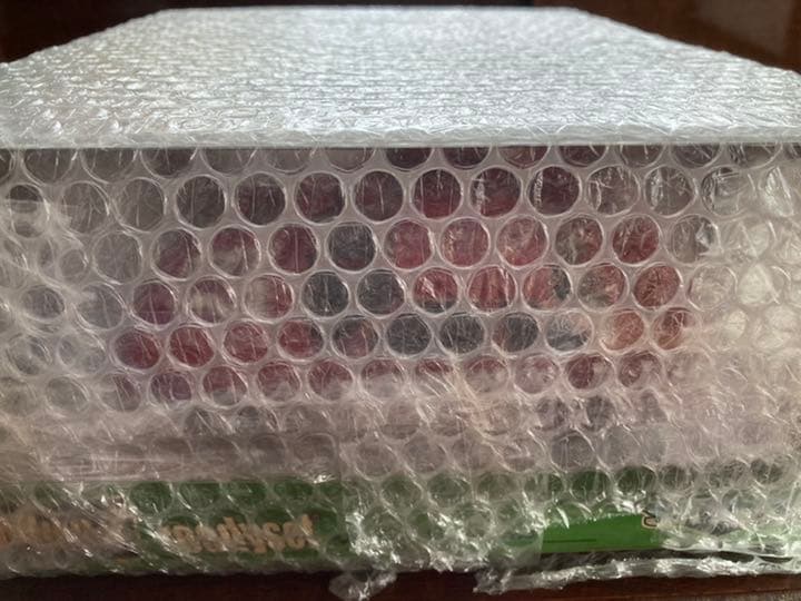 シャコタンブキラジコンセット