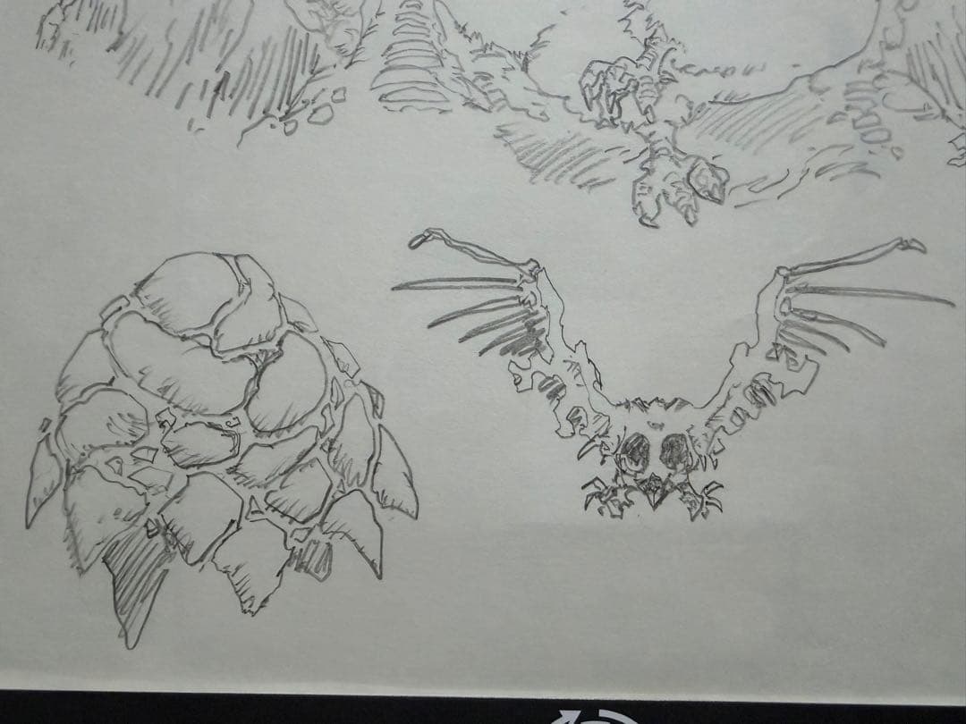 天地創造 藤原カムイ 直筆設定資料原画 直筆イラスト 雷火 ロトの紋章 ガンガン