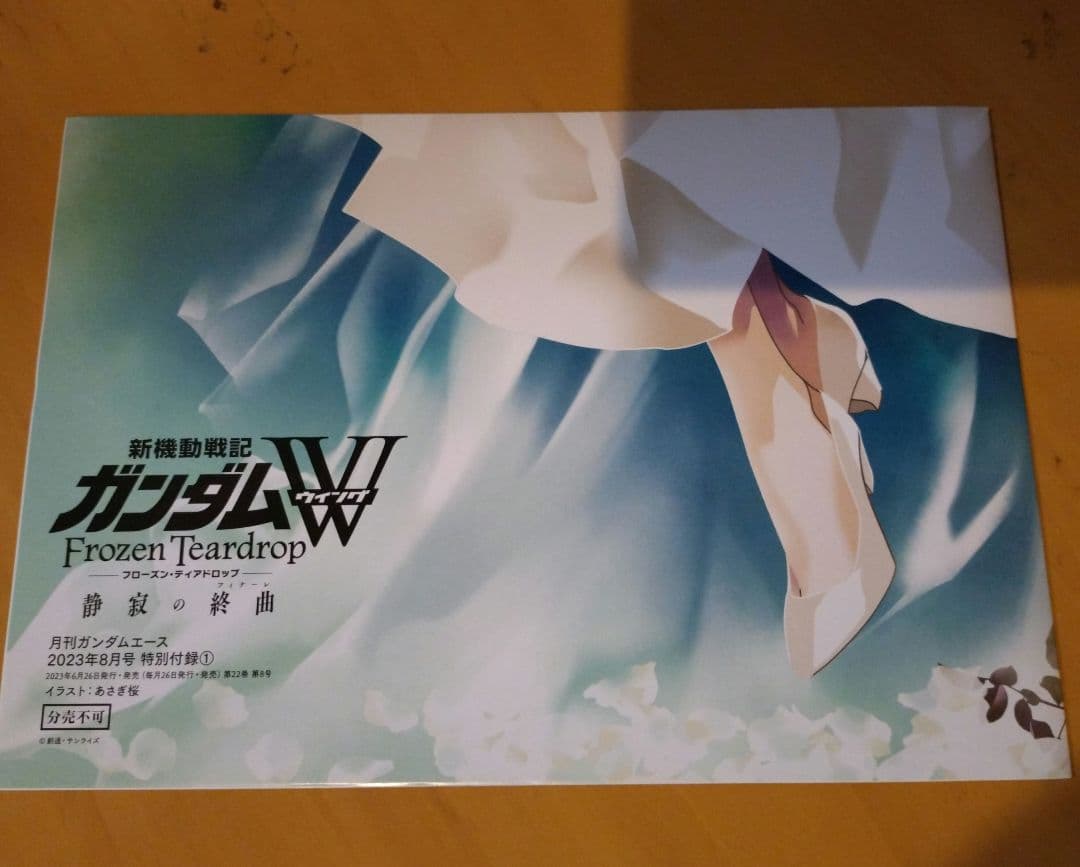 新機動戦士ガンダムW 月刊ガンダムエース B2ポスター ヒイロ リリーナ