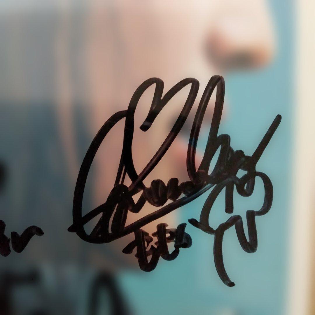 幕が上がる(全メンバーサイン入り) メンバー全員のサイン入りDVDになります。