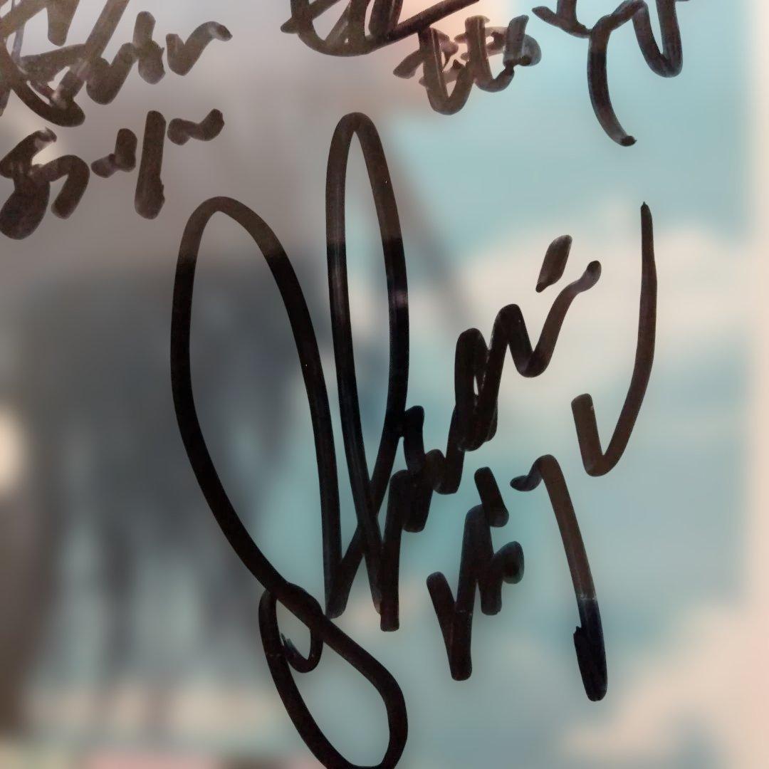 幕が上がる(全メンバーサイン入り) メンバー全員のサイン入りDVDになります。