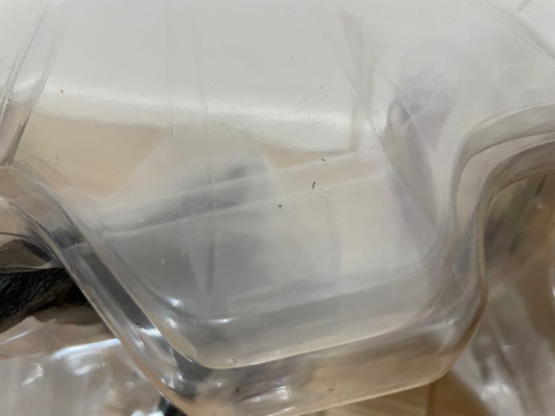 S.H.MonsterArts ゴジラ 1962年「キングコング対ゴジラ」