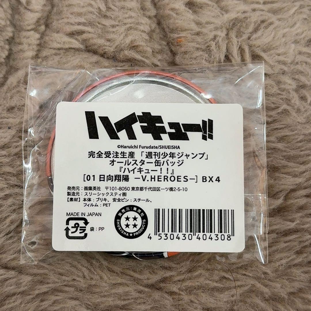 【ハイキュー!!】日向翔陽