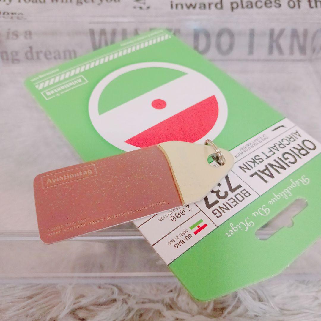 ☆希少☆アビエーションタグ Aviationtag B737-200実機外板タグ