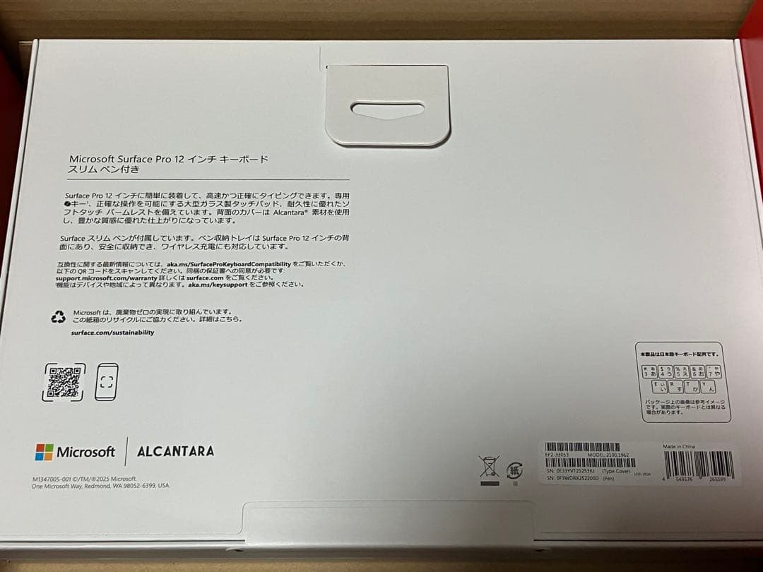 にゃんこさま専用】ヨドバシ 福袋「AIサーフェスProの夢」より 4点