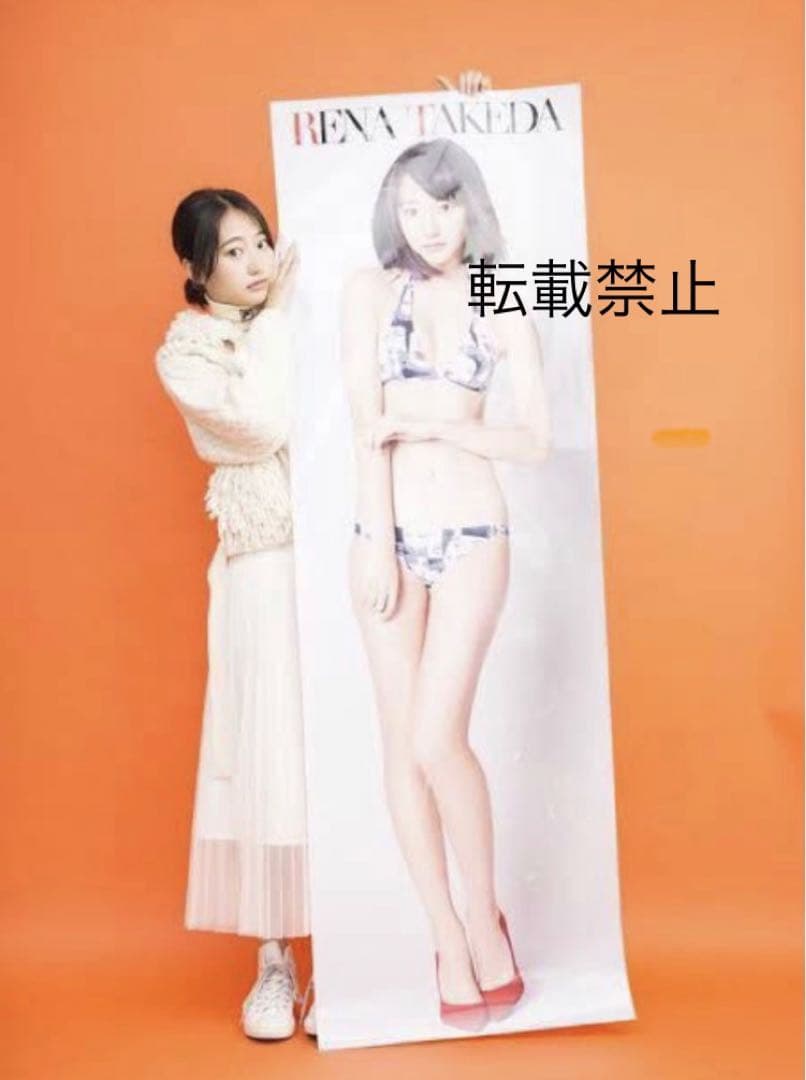 武田玲奈　等身大ポスター　２種類セット