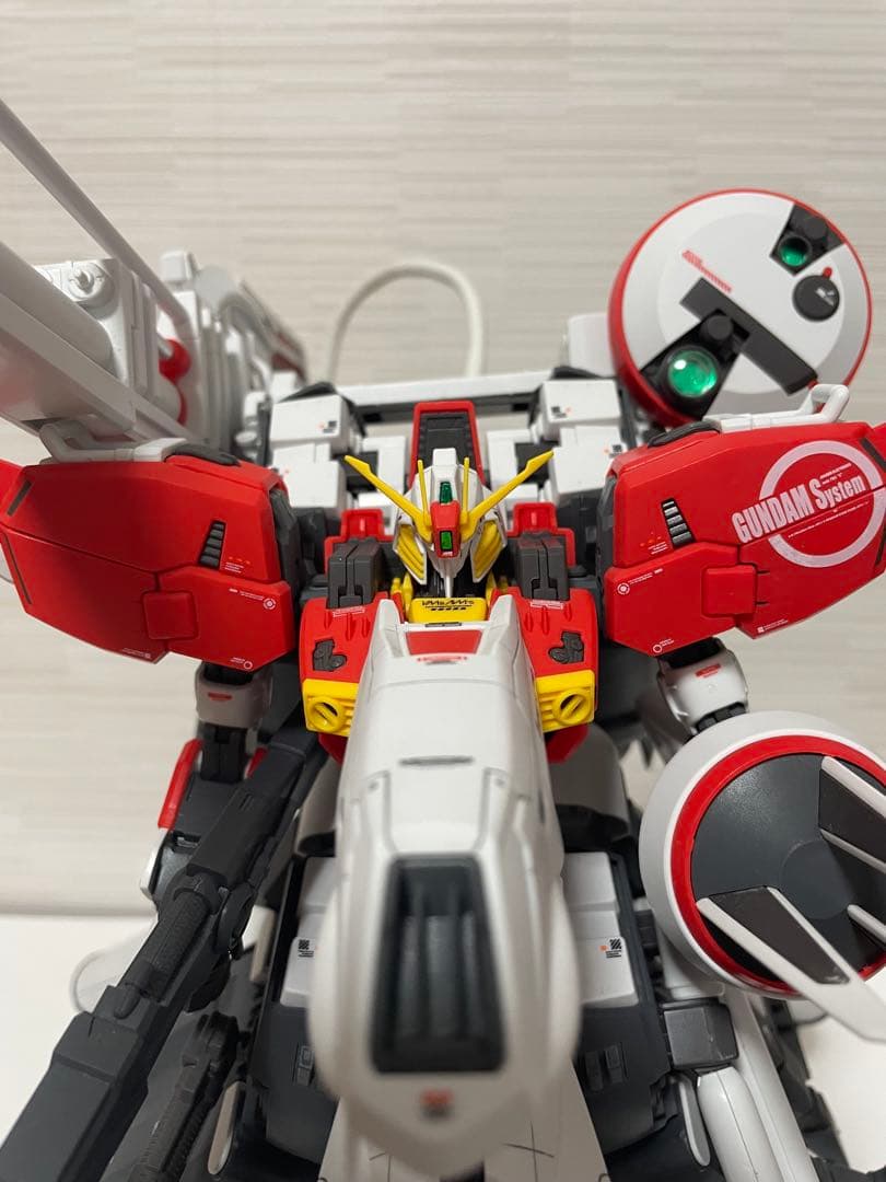 D*ン様 MG 1/100 ディープストライカー 組立済み品 ガンプラ