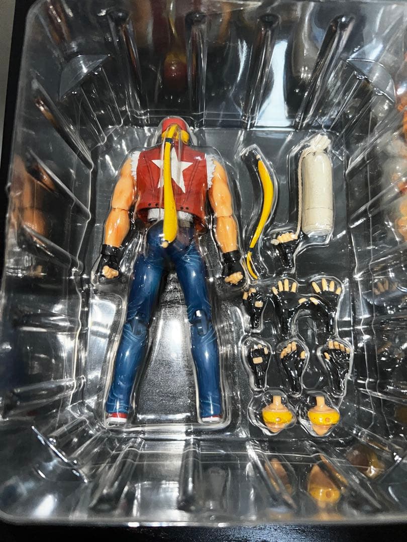 テリーボガード　フィギュア D-Arts 餓狼伝説