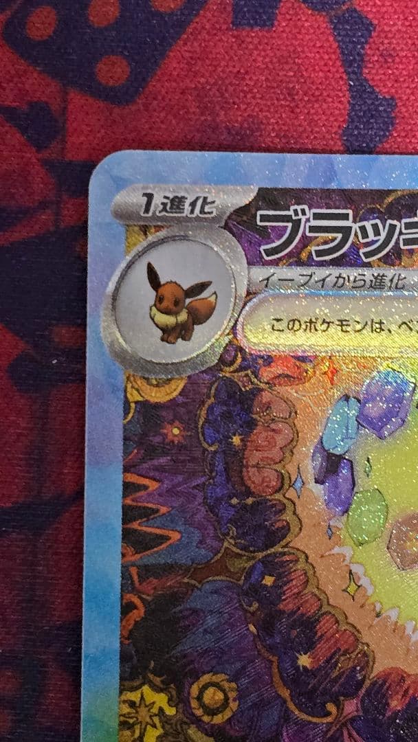 ポケカ テラスタルフェスex ブイズSAR9種セット