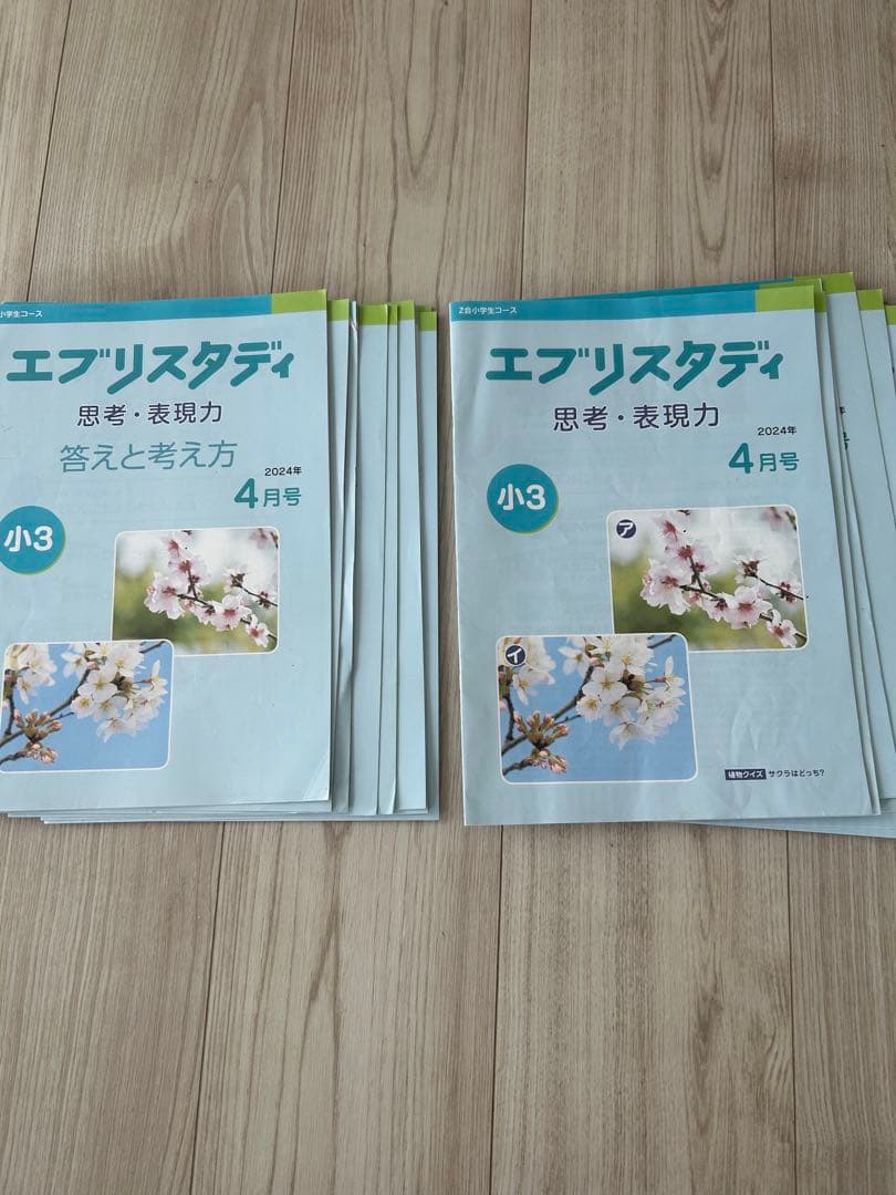 Z会 小学生コースエブリスタディ 思考・表現力 小3 4月号から12月号