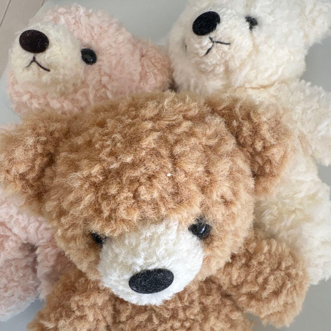 童心 クマのフカフカ