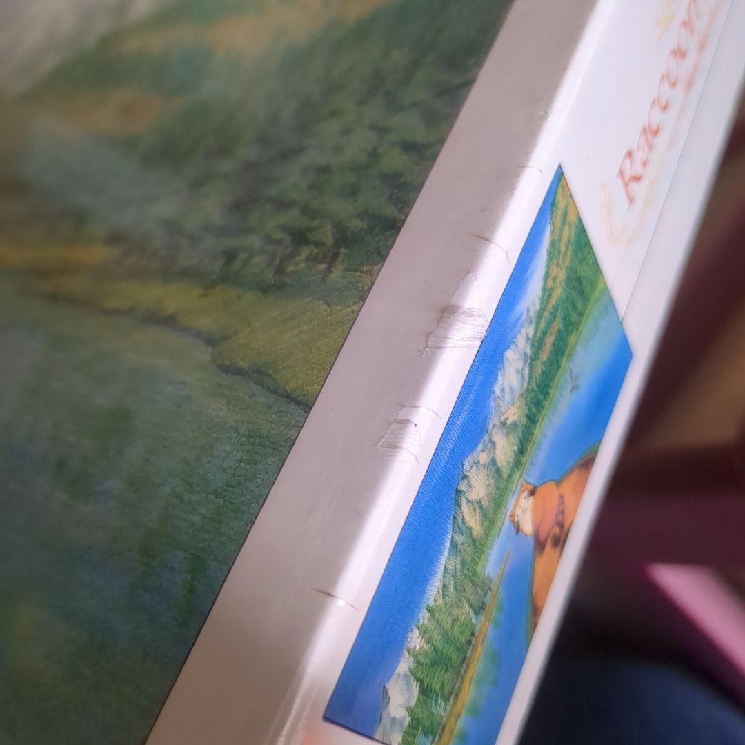 新品未開封　あらいぐまラスカル　ジグソーパズル　1000ピース　湖