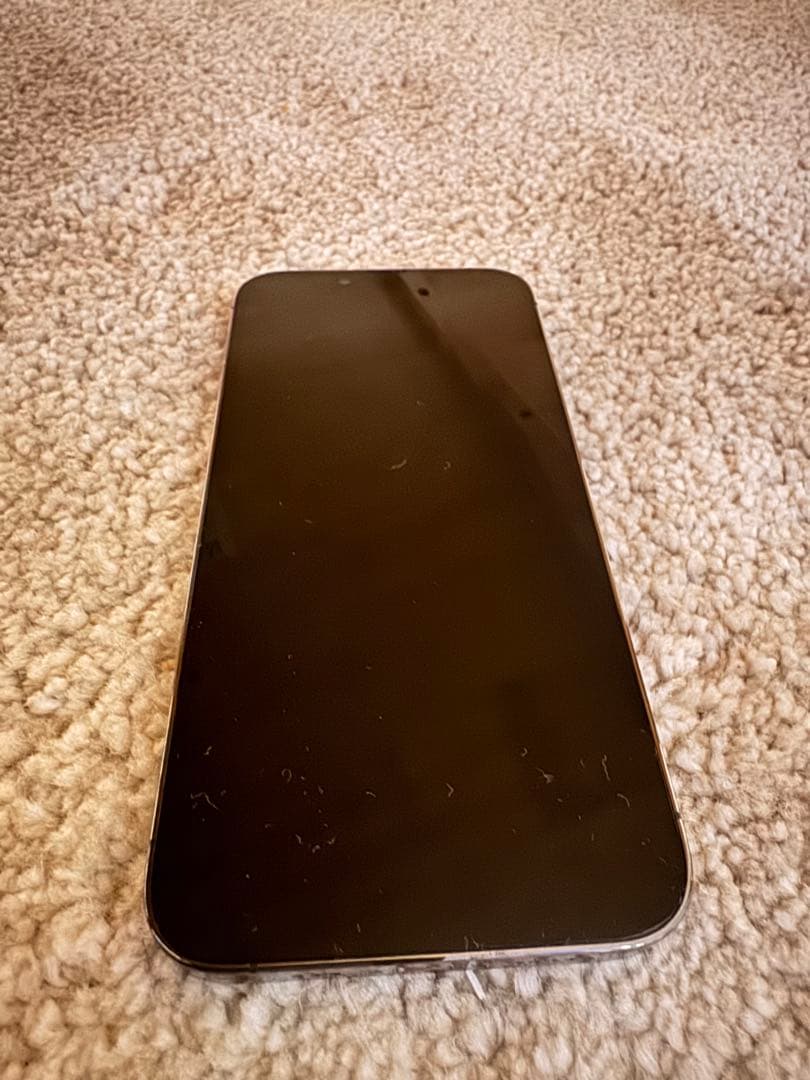 iPhone 13 Pro 256G 起動不可 リンゴループ ジャンク - メルカリ