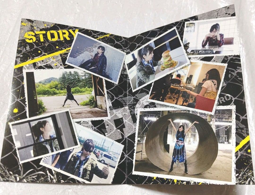 本日限定特別最終大特価◆田所あずさ 激レア 直筆サイン チェキ