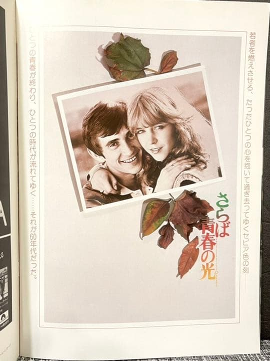1979年 映画 さらば青春の光 オリジナルポスター付き - メルカリ