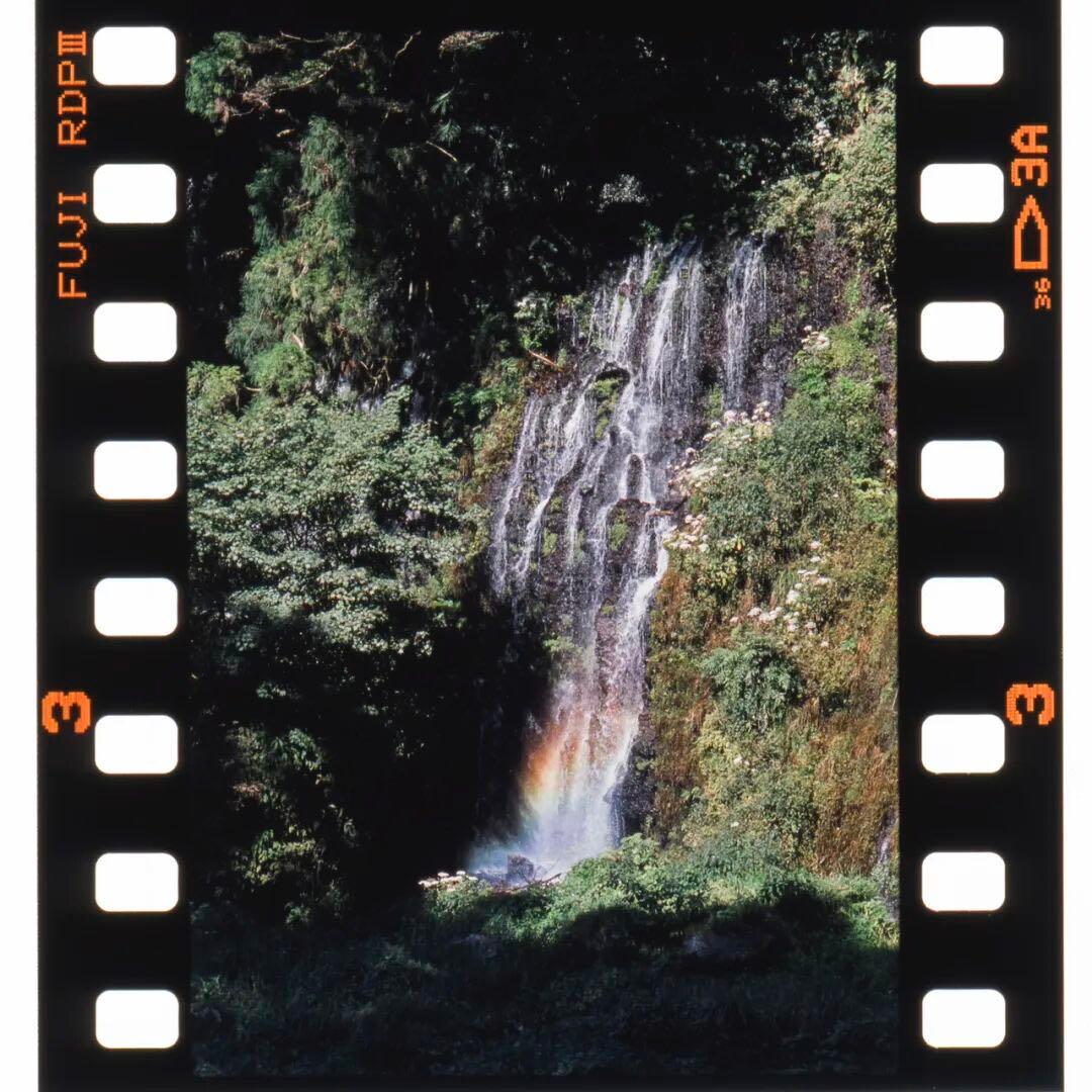 整備済 初期型 pentax lx +50 1.4 レンズ フールセット - メルカリ