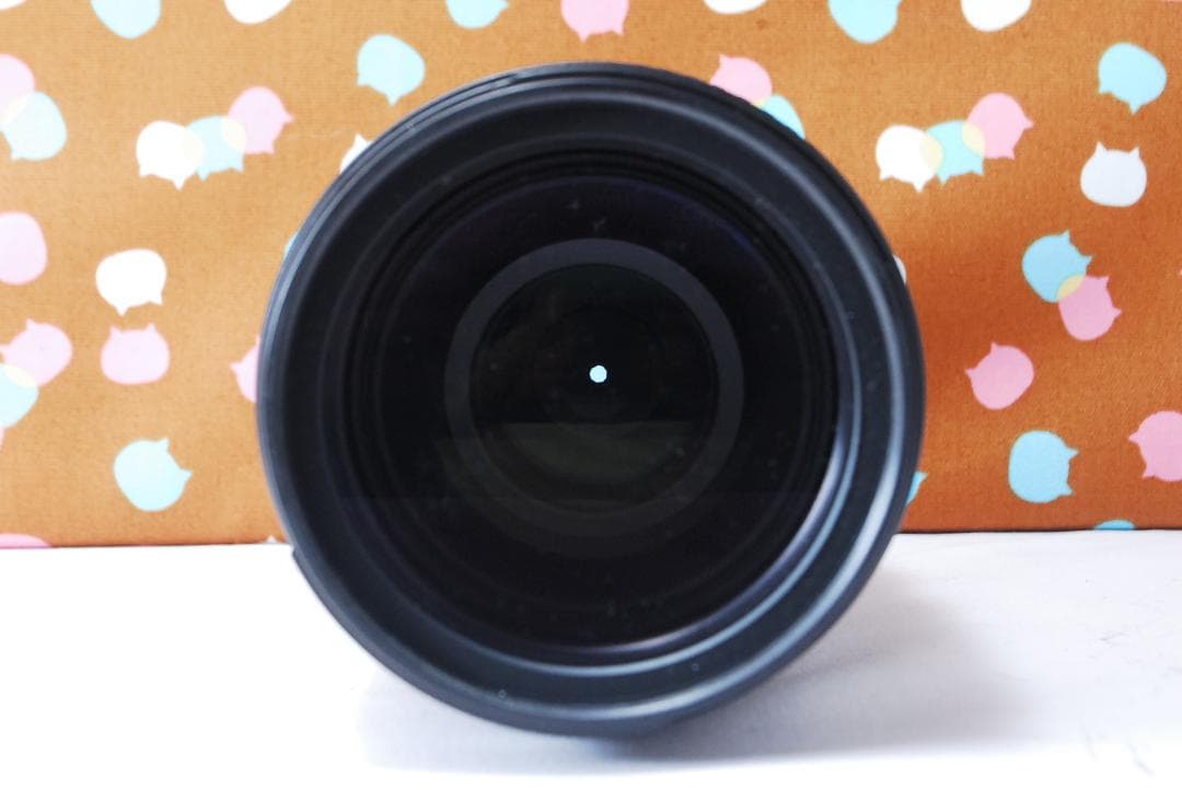 ✨望遠✨Nikon AF-S 70-300mm F4.5-5.6 G ED VR