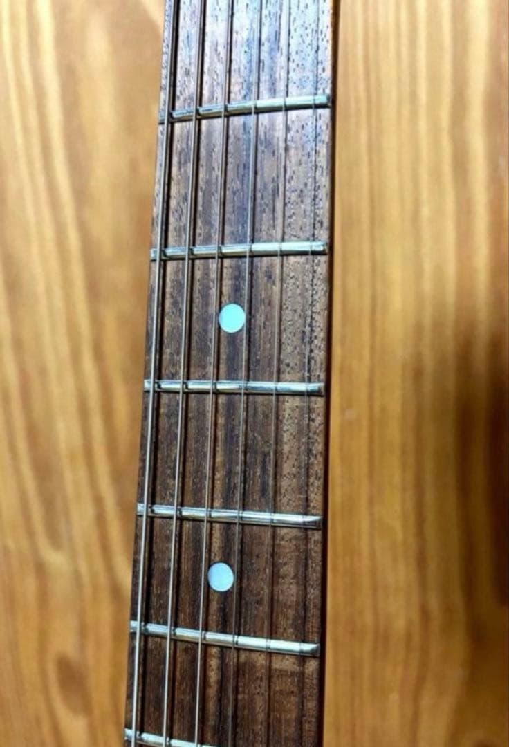 【1点物 カスタムテールピース付】Burny レスポールタイプ