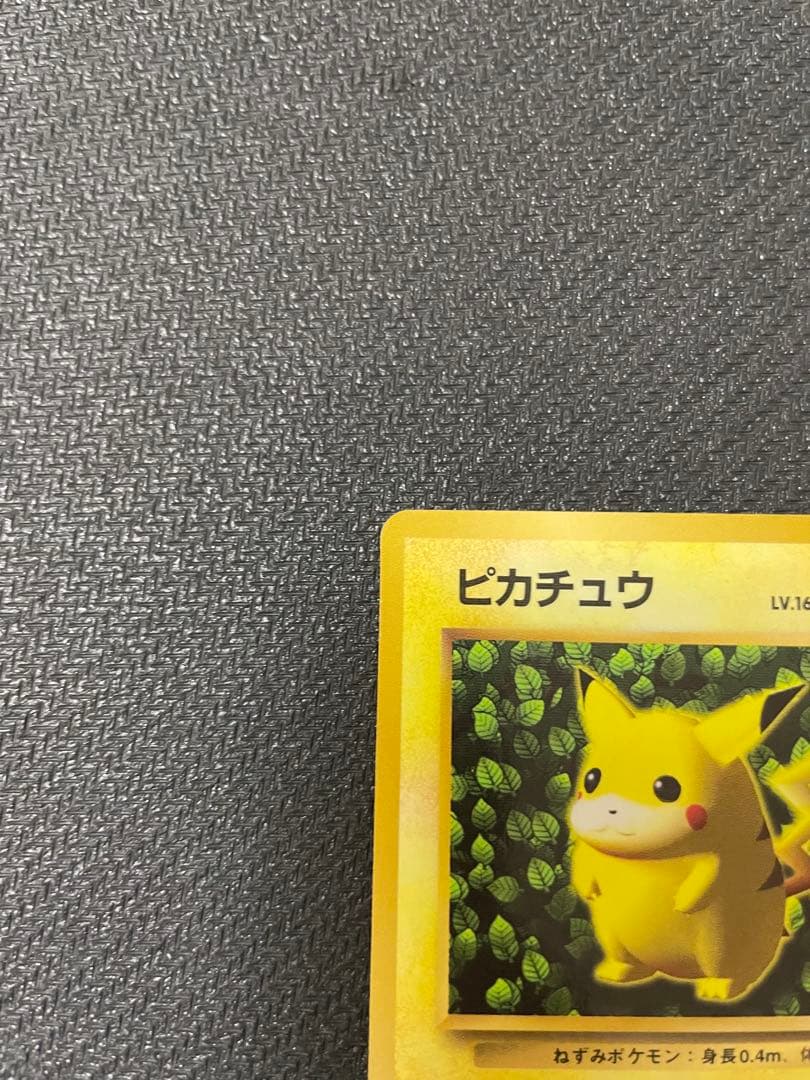 希少 【旧裏】 ピカチュウ コロコロ 光沢あり ken sugimori エラー