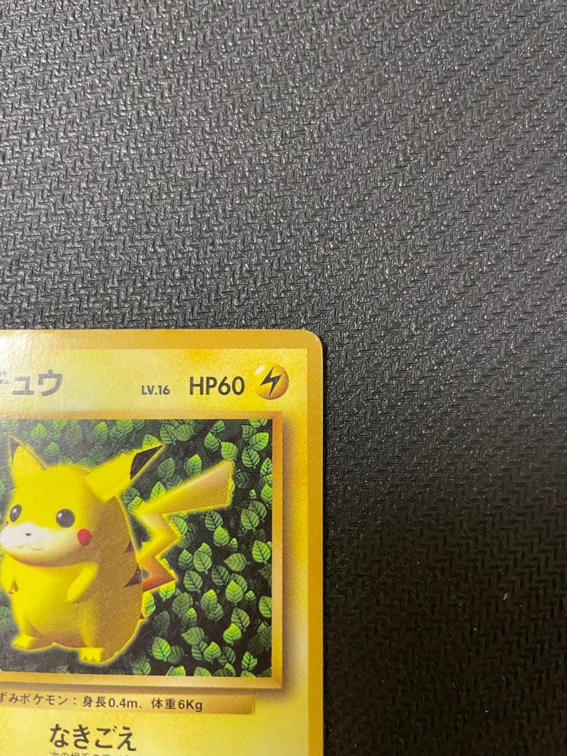 希少 【旧裏】 ピカチュウ コロコロ 光沢あり ken sugimori エラー