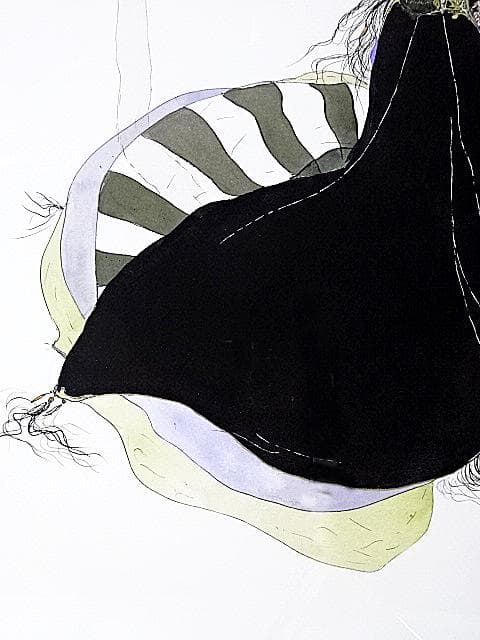 #天野喜孝 #ストライプ #ジクレ #大作 #サイン #アールビバン #証明書