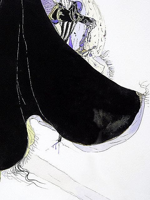 #天野喜孝 #ストライプ #ジクレ #大作 #サイン #アールビバン #証明書