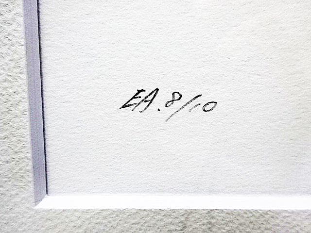 #天野喜孝 #ストライプ #ジクレ #大作 #サイン #アールビバン #証明書