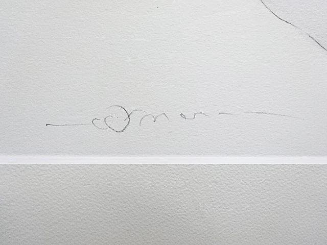 #天野喜孝 #ストライプ #ジクレ #大作 #サイン #アールビバン #証明書