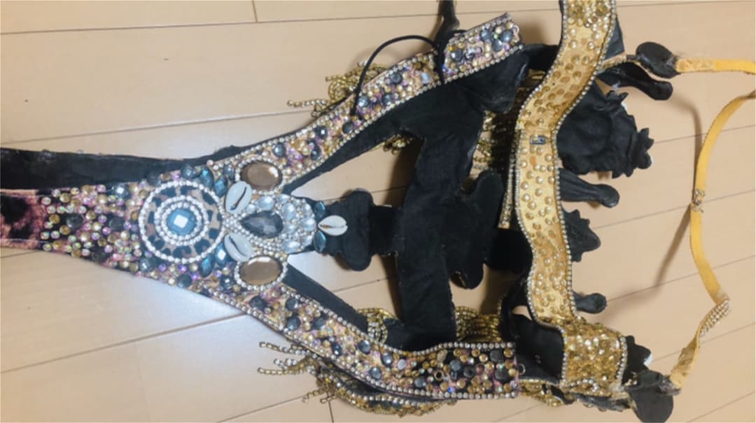 本格的！ブラジル直輸入！豪華サンバ衣装フルセット - メルカリ