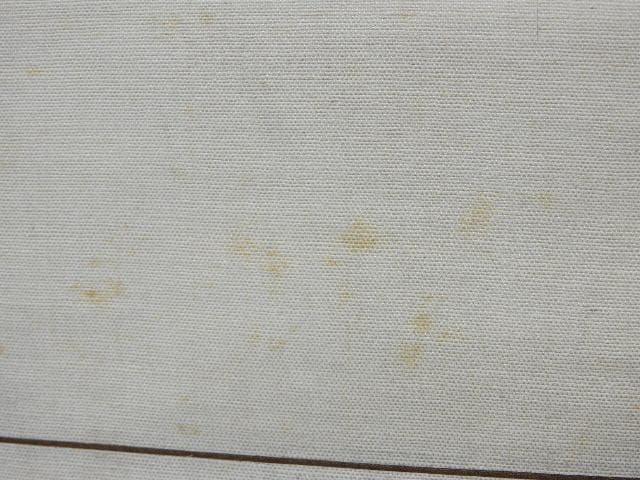 今尾景祥　滝図　掛軸　箱なし　M1009