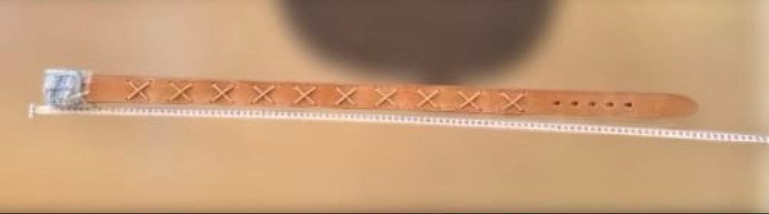 藤田芳郎 レッドムーン ベルト