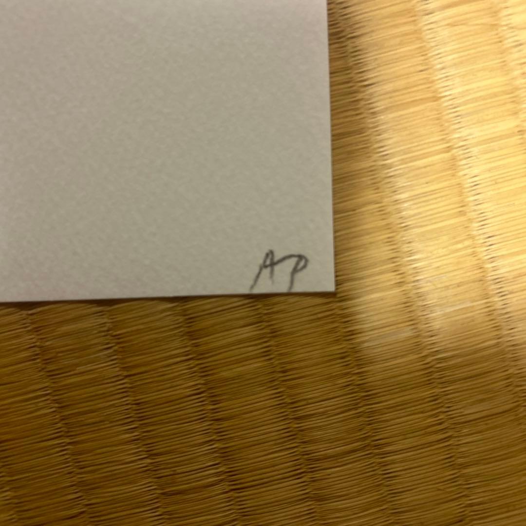 デスニューヨーク 奈良美智 2019 AP サイン入り - メルカリ