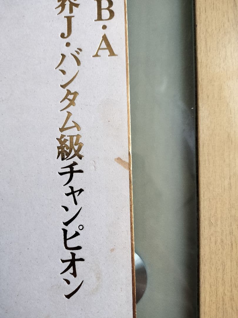 WBA 世界J.バンタム級チャンピオン 渡辺二郎 V2サイン色紙 - メルカリ