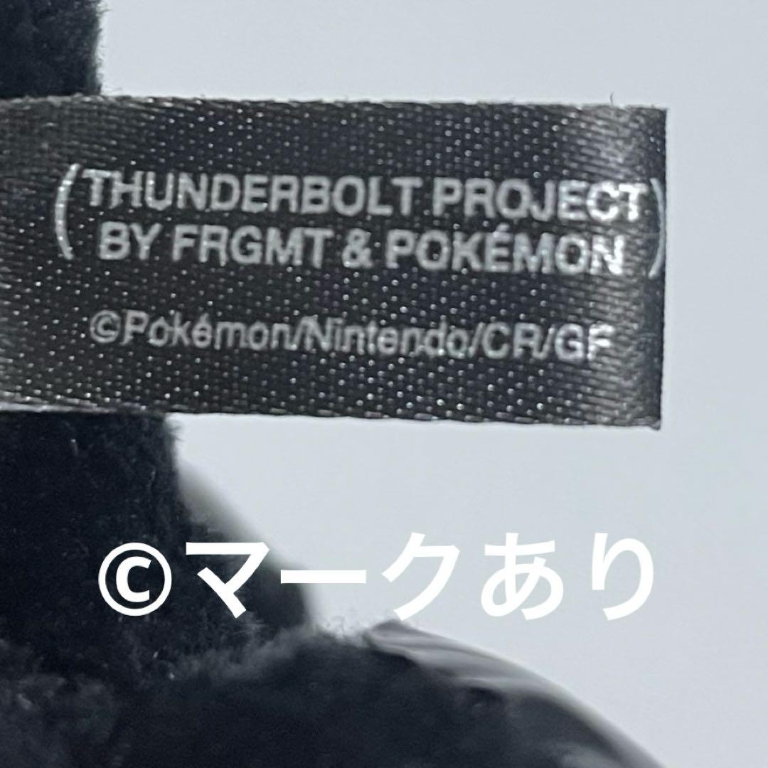 藤原ヒロシ×ポケモンTHUNDERBOLT PROJECT ヒトカゲ