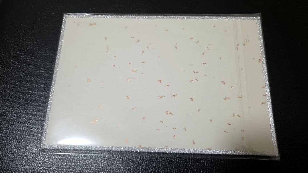 崩壊スターレイル　キャストリス　アクリル色紙　c107　迷い小屋