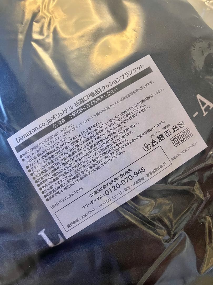 ポケモンレジェンズZA メガシンカデザインクッションブランケット A賞 当選品