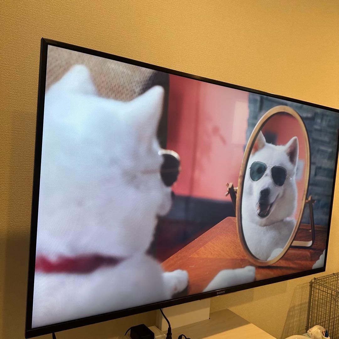 SONY BRAVIA 49型テレビ KJ-49X8500F 2019年製 SONY BRAVIA KJ-49X8500F (S) [49インチ ウォームシルバー] 価格比較