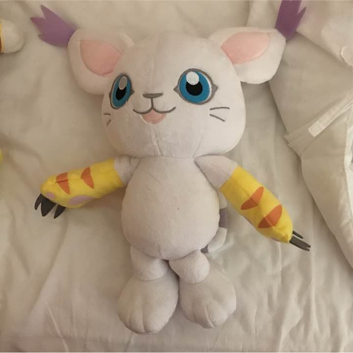 ぬいぐるみとAKBグッズ