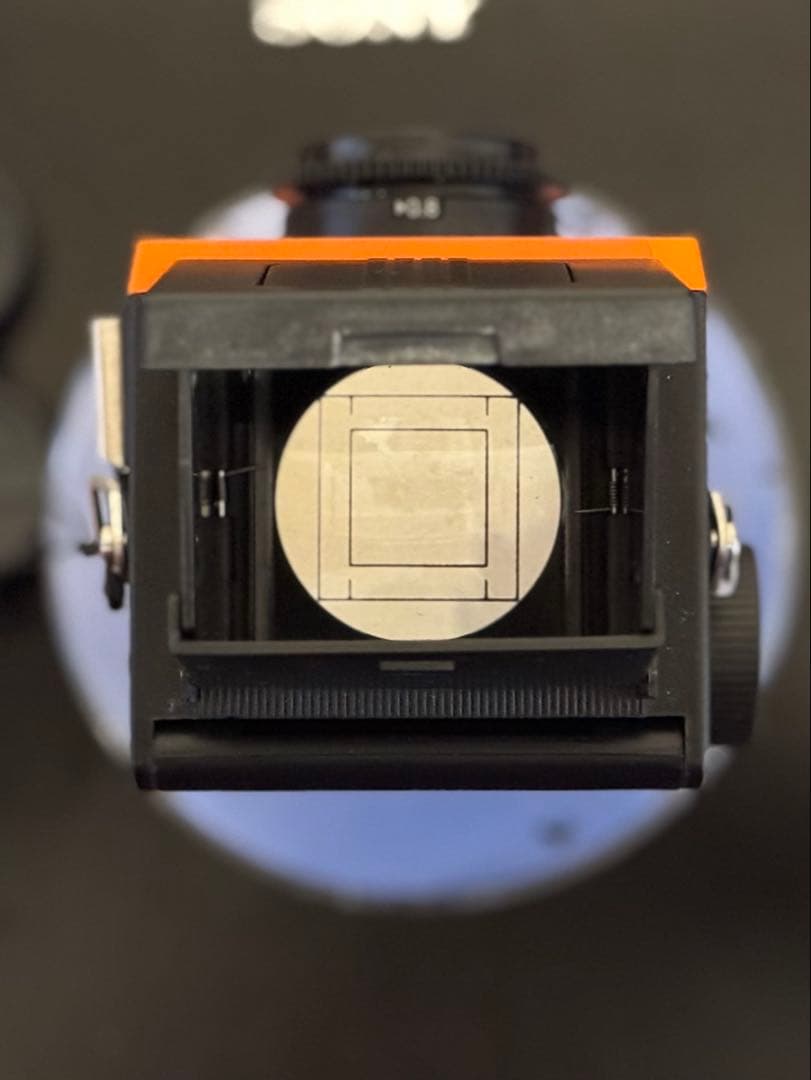 blackbird fly オレンジ｜初期発売品 - メルカリ