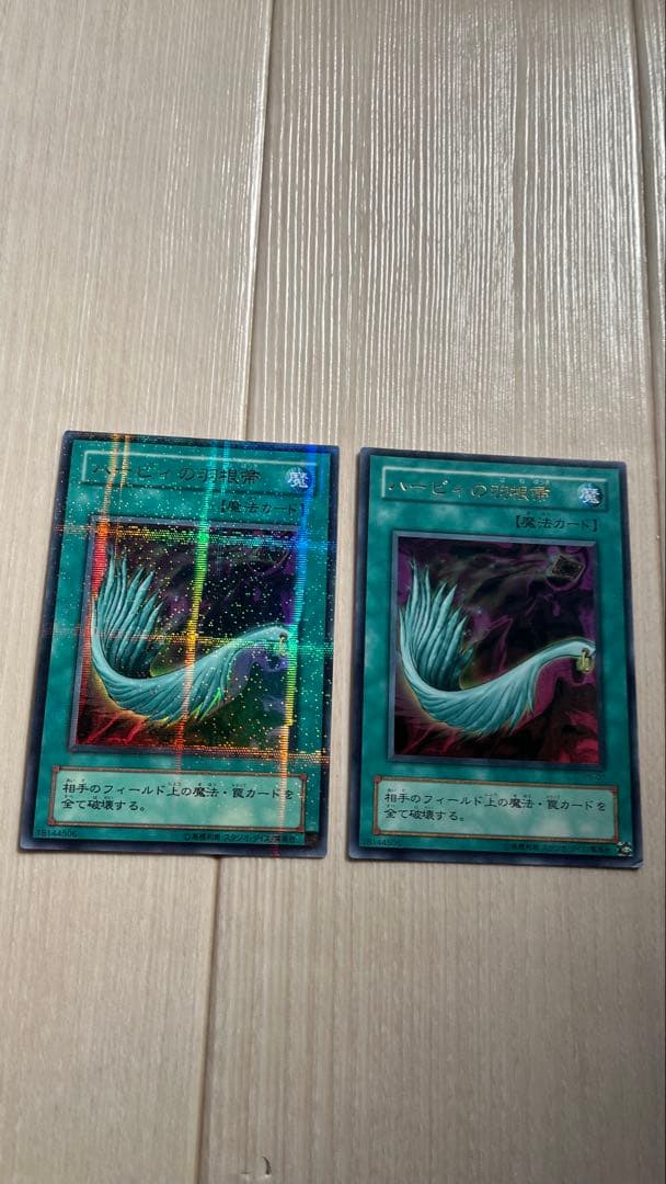 ハーピィの羽根帚 パラレル - メルカリ