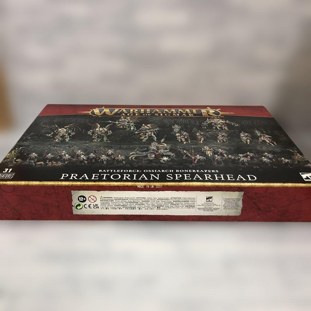 o617 エイジ・オヴ・シグマー　プラエリトリアン・スピアヘッド