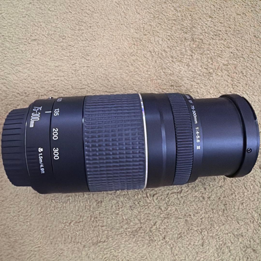 キャノン Canon EF75-300㎜ EF75-300mm F4-5.6 III USM - キヤノンカメラミュージアム