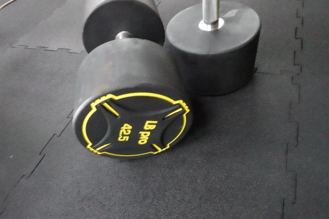 TPUダンベル　22.5kg  2個