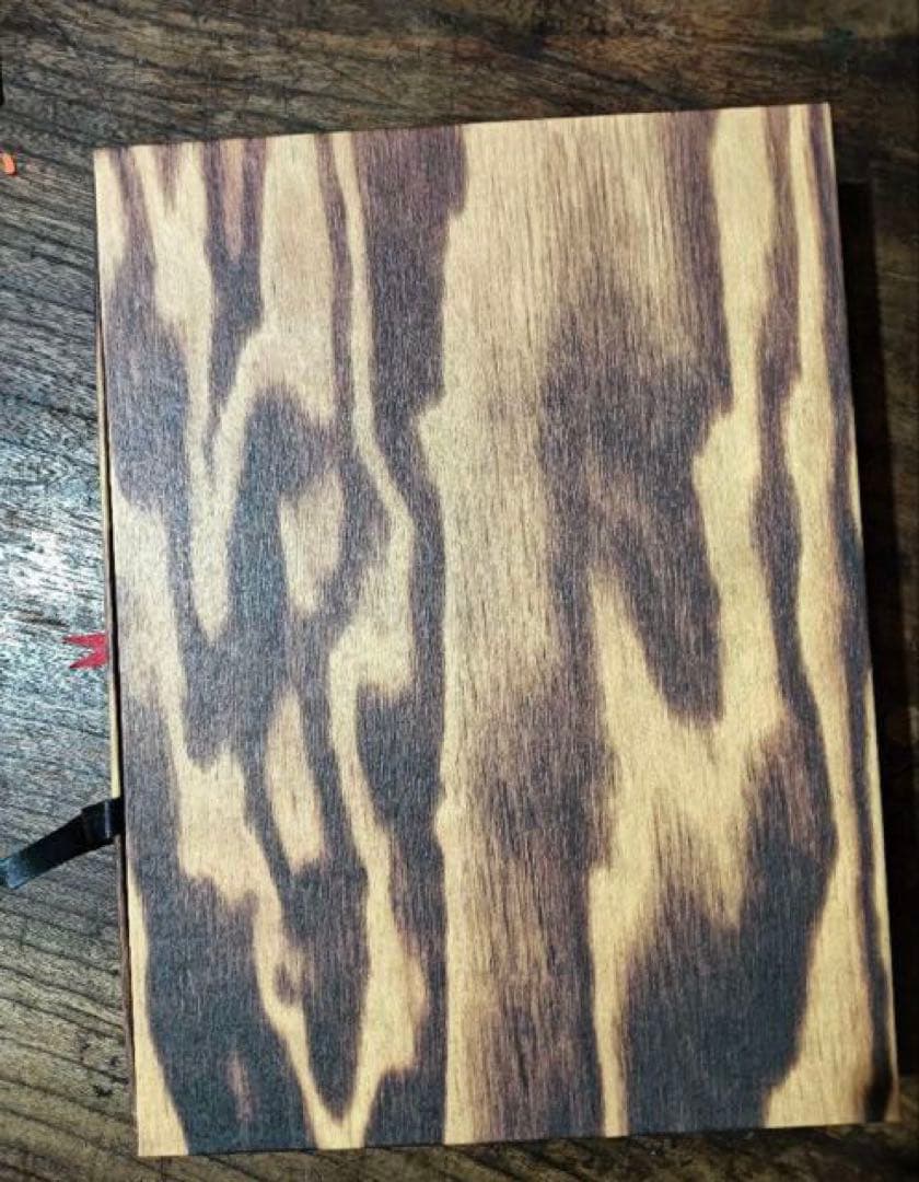 BOTTEGA VENETA by alec soth 書籍 アート集 - メルカリ