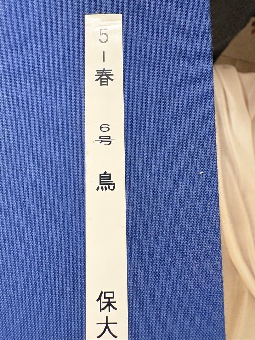 「鳥」　野々内保太郎　絵画　日本画 黄色袋 箱あり