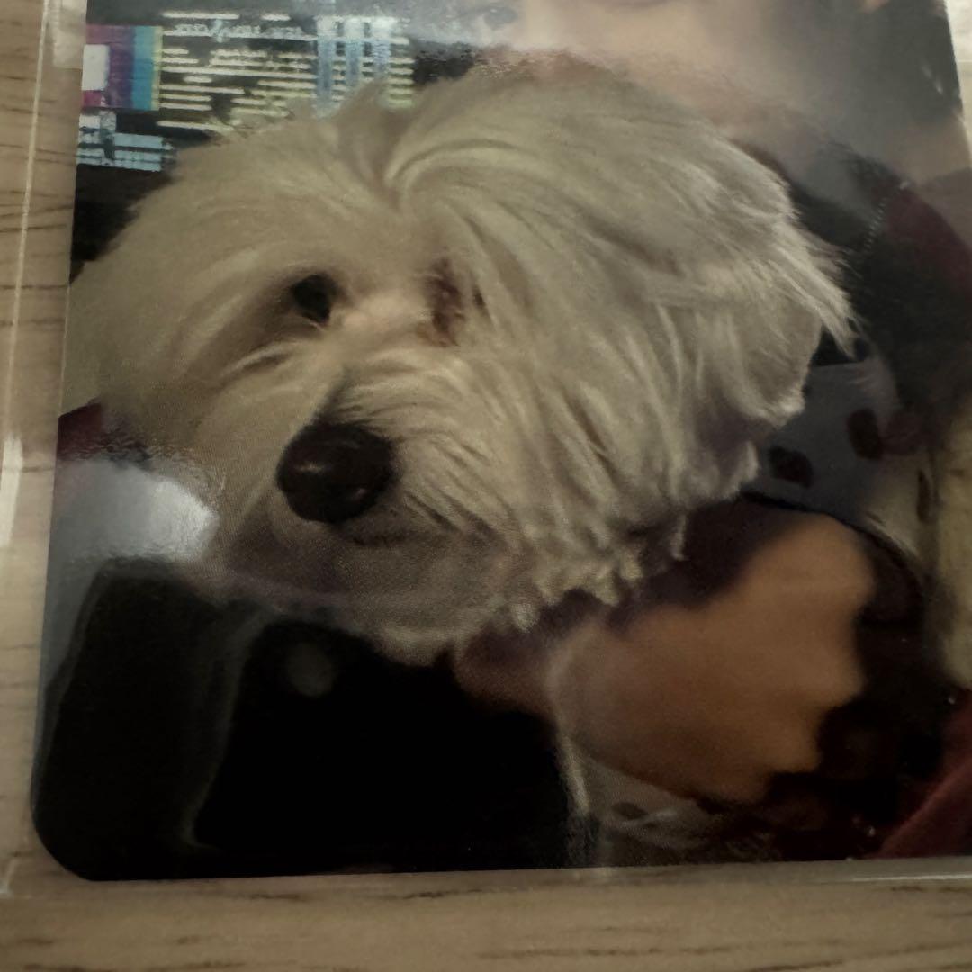 SEVENTEEN エスクプス FML YES24 サイン会 トレカ セブチ - メルカリ