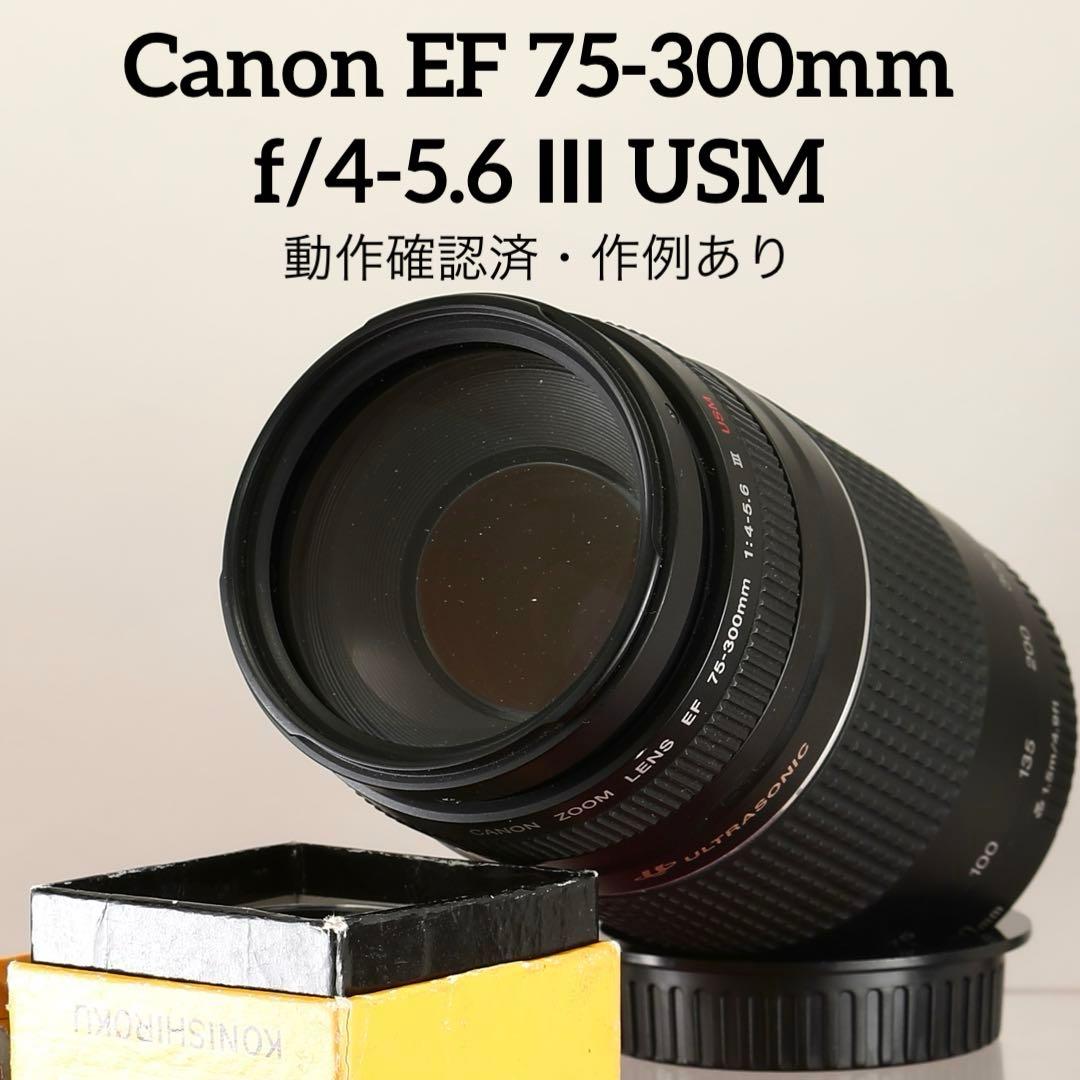 【完動品】Canon EF 75-300mm f/4-5.6 Ⅲ USM