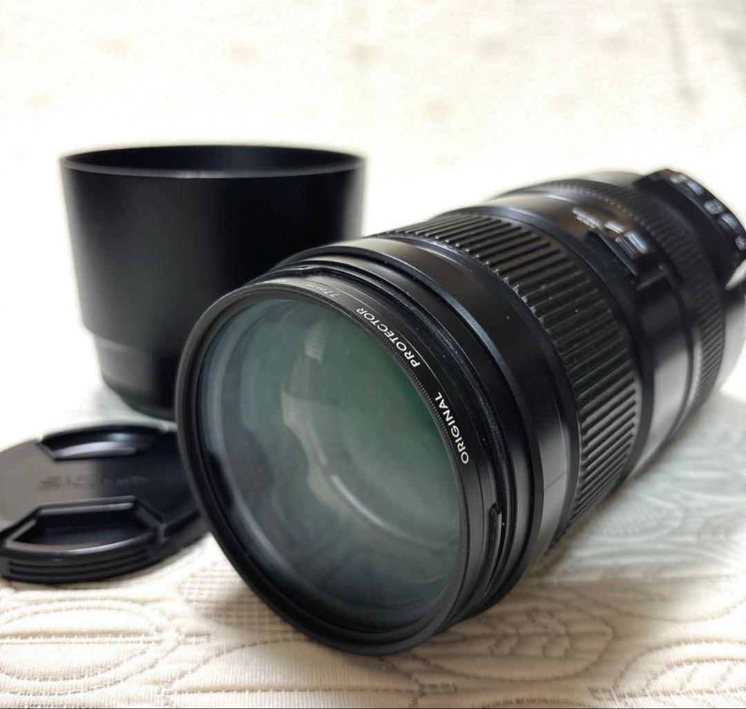 レンズ(ズーム) SIGMA 120-400mm F4.5-5.6 APO DG OS