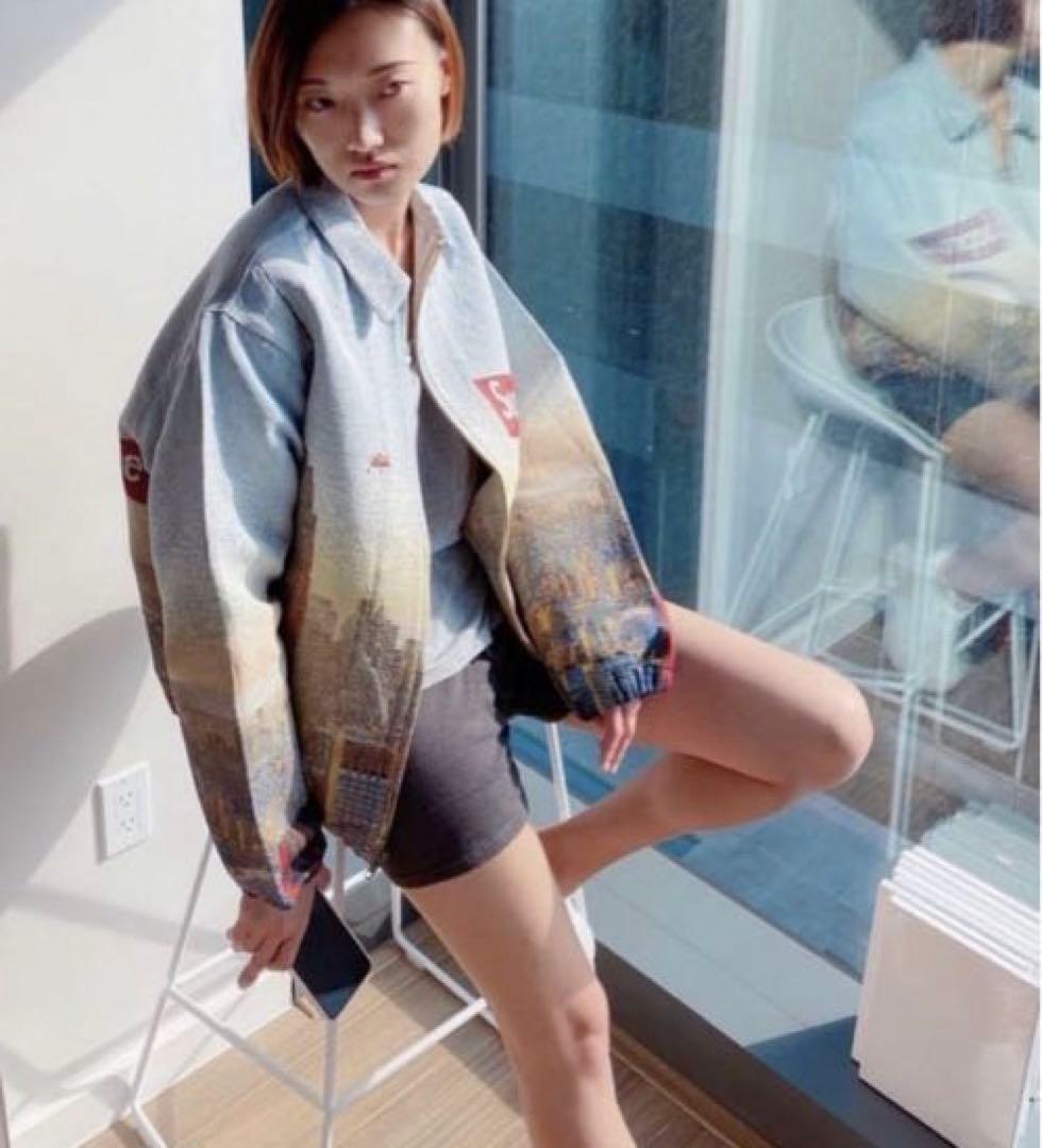 Supreme Aerial Tapestry Harrington 完売品 L - メルカリ