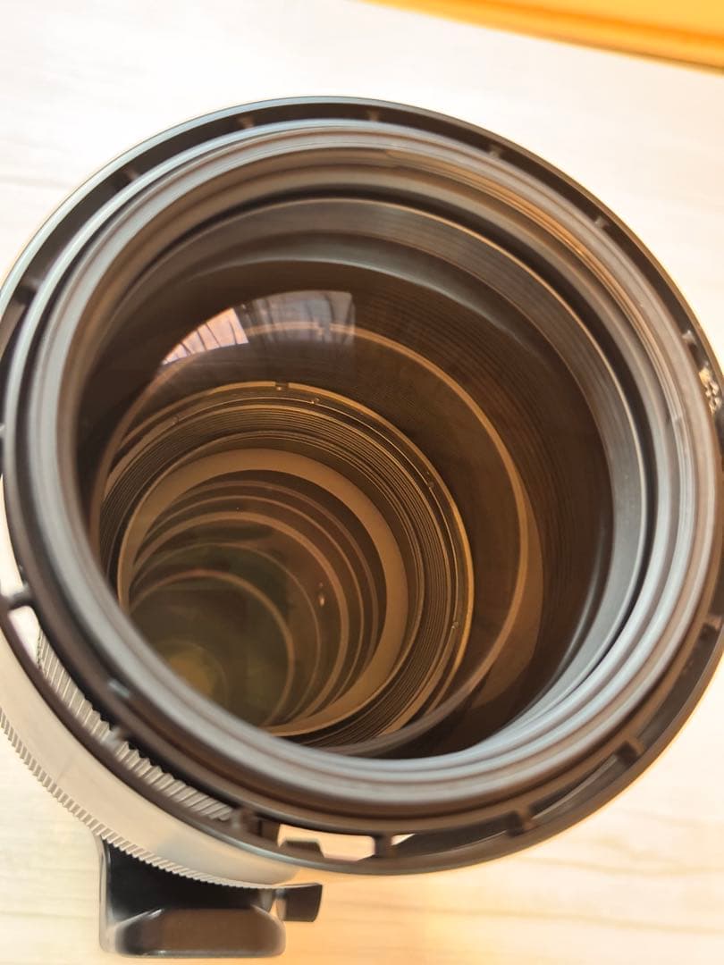 シグマ150-600mm F5-6.3 CONTEMPORARY Nikon